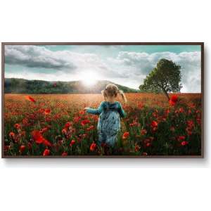 Samsung The Frame UE43LS003 - 4K TV
