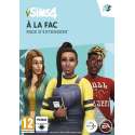 EA 1085857 video-game PC/Mac Basic + Add-on Frans