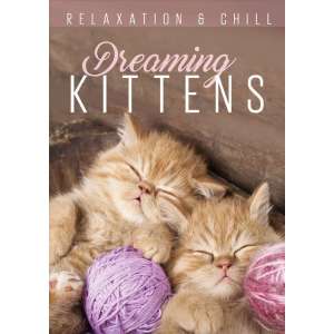 Dreaming Kittens