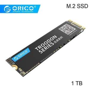 Orico M.2 interne SSD 2280 - 1TB - Troodon serie - 3D NAND flash - Zwart