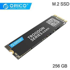 Orico M.2 interne SSD 2280 - 256GB - Troodon serie - 3D NAND flash - Zwart