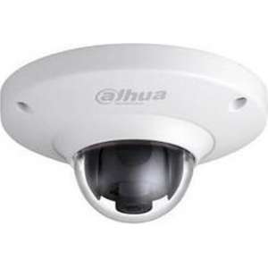 Dahua IPC-EB5400P vandalismebestendige 4MP Full HD Fisheye dome IP camera