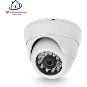 Home-Locking ip-camera dome binnen POE 1080P  2.0MP (wit) C-504
