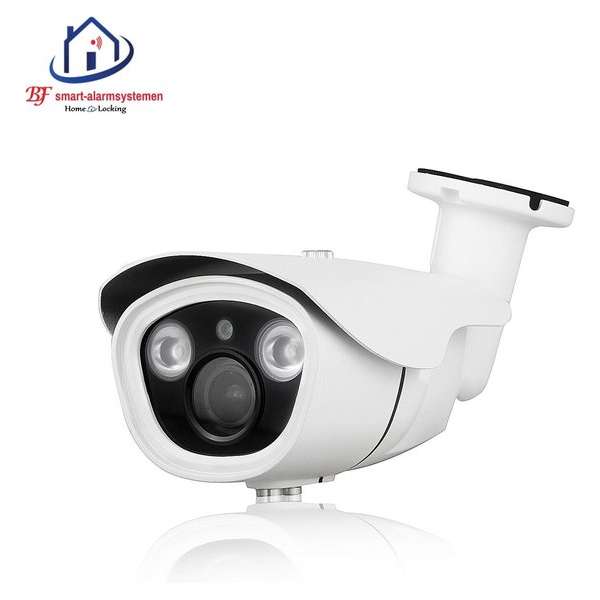 Home-Locking ip-camera POE 1080P 2.0MP (wit) C-502