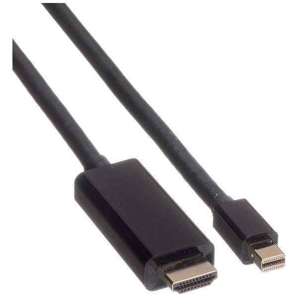 ROLINE 11.04.5796 video kabel adapter 2 m Mini DisplayPort Zwart