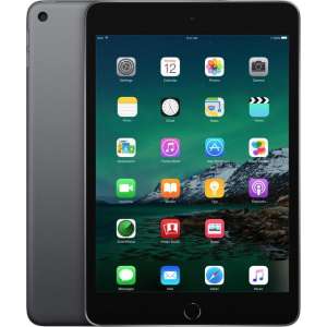 iPad Mini 5 | 64 GB | Space Gray | Als nieuw | leapp