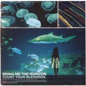Count Your Blessings (LP)
