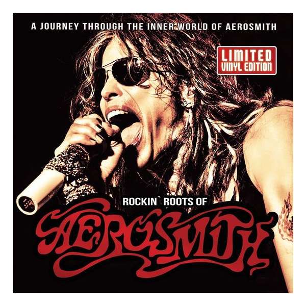 Rockin' Roots of Aerosmith