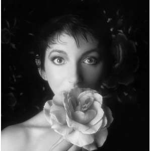 Kate Bush - Remastered In Vinyl 2 (Boxset)