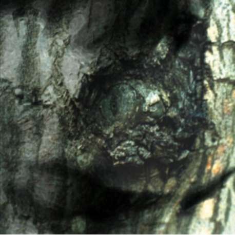 La Valse Des Monstres (Re-Issue)