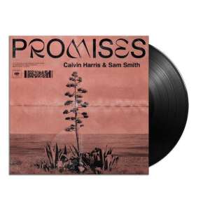 Promises (12 Inch Vinyl) (LP)