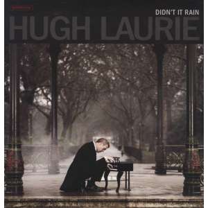 Didn't It Rain (LP)