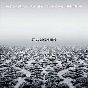 Still Dreaming (LP)