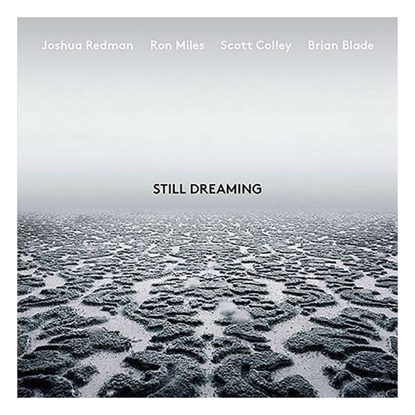 Still Dreaming (LP)