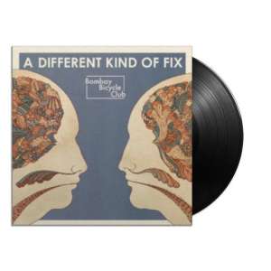 A Different Kind Of Fix (LP)