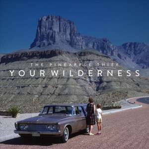 Your Wilderness -Hq- (LP)
