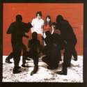 White Blood Cells (HQ)