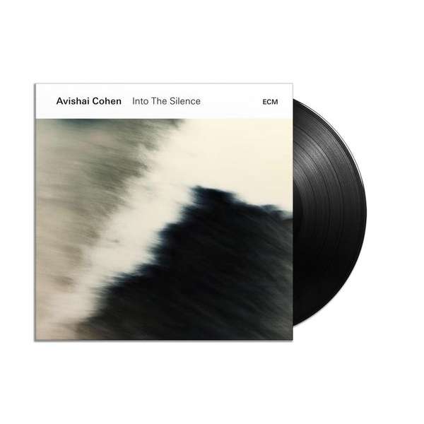 Into The Silence (Vinyl) (LP)