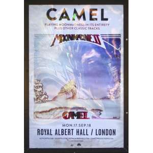 Live at the Royal Albert Hall (DVD)