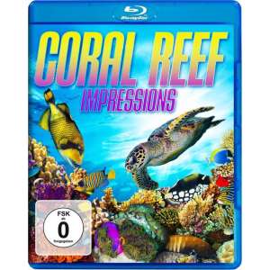 Coral Reef - Impressions